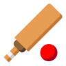CRICKET icon